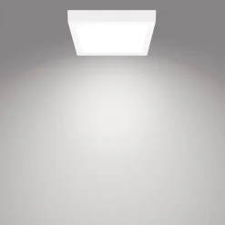 Philips Arbejdsrum/Kontor > Slim Surface LED 4.000 K kantet 21cm hvid