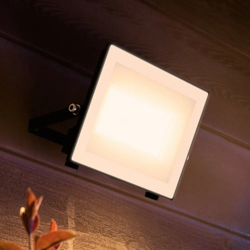 Philips Udendørs Spot > udendørs LED-spot Lois UE flood, 24 W, 3.000 K, IP65