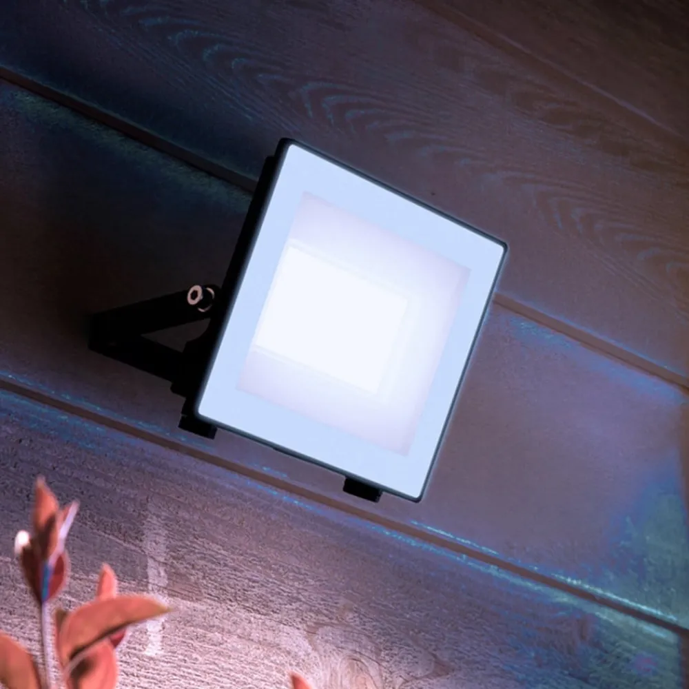 Udendørs Spot ^ Philips udendørs LED-spot Lois UE flood, 14 W, 5.000 K, IP65