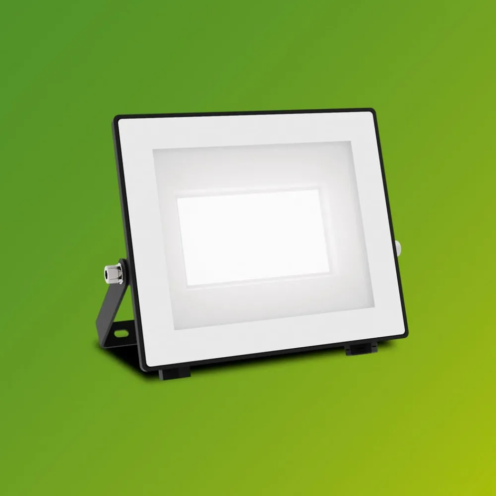 Udendørs Spot ^ Philips udendørs LED-spot Lois UE flood, 14 W, 5.000 K, IP65
