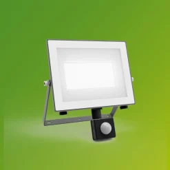 Udendørs Spot ^ Philips udendørs LED-spot Lois UE Sensor, 24 W, 5.000 K IP65