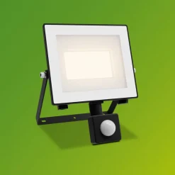 Udendørs Spot ^ Philips udendørs LED-spot Lois UE Sensor, 14 W, 3.000 K IP65