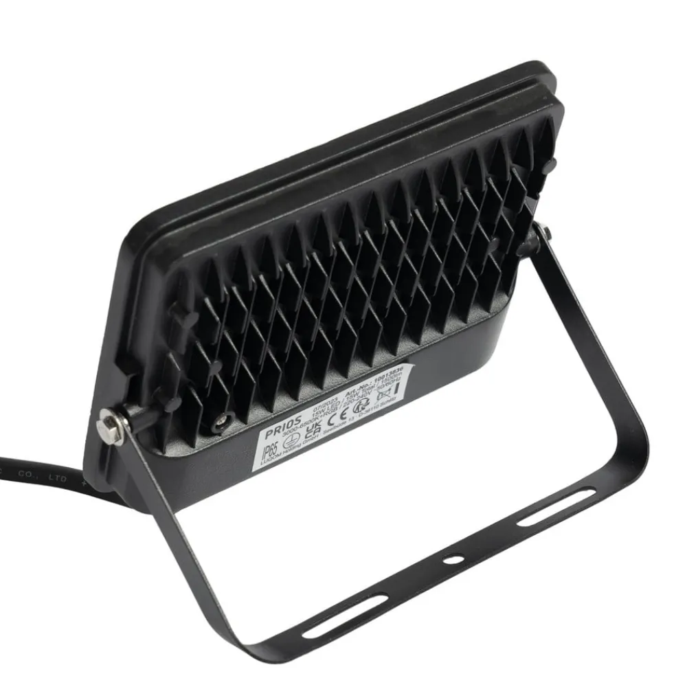 PRIOS Udendørs Spot > Liezel udendørs LED-spot 15W RGBW Tuya IP65