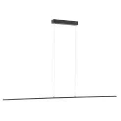 PURE Pendellamper > LED hængelampe Lite, antracit, 160 cm, CCT, dæmpbar