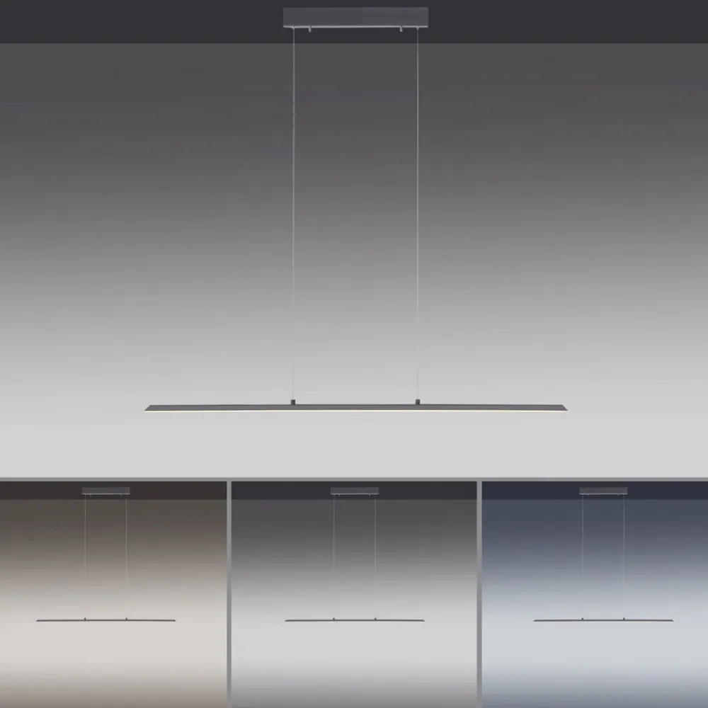 PURE Pendellamper > LED hængelampe Lite, antracit, 100 cm, CCT, dæmpbar