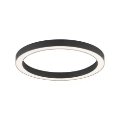 Loftlamper ^ PURE LED-loftlampe Lines, Ø 50 cm, antracit, CCT, fjernbetjening