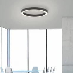 Loftlamper ^ PURE LED-loftlampe Lines, Ø 50 cm, antracit, CCT, fjernbetjening