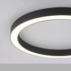 Loftlamper ^ PURE LED-loftlampe Lines, Ø 50 cm, antracit, CCT, fjernbetjening