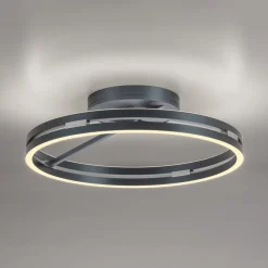Loftlamper ^ PURE LED-loftlampe Loop, grå, metal, Ø 60 cm, CCT