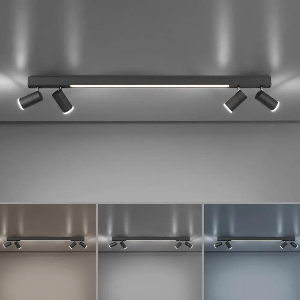 PURE Loftlamper > LED-loftslampe Lines, 120 cm, antracit, fjernbetjening