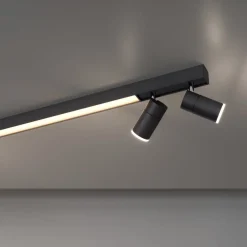 PURE Loftlamper > LED-loftslampe Lines, 120 cm, antracit, fjernbetjening