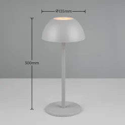 Dekorationsbelysning|Terrassebelysning ^ Reality Leuchten Ricardo LED genopladelig bordlampe, grå, højde 30 cm, plast
