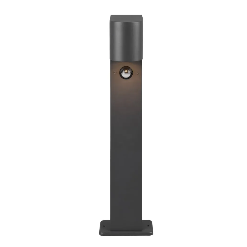 Trio Lighting Sokkellamper Med Sensor|Sokkellamper > Roya sokkellampe, bevægelsessensor, antracit