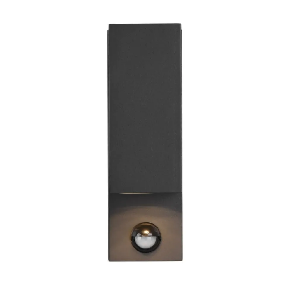 Trio Lighting Væglampe Med Sensor|Væglamper > Roya udendørs væglampe 2 lk sensor kantet antracit