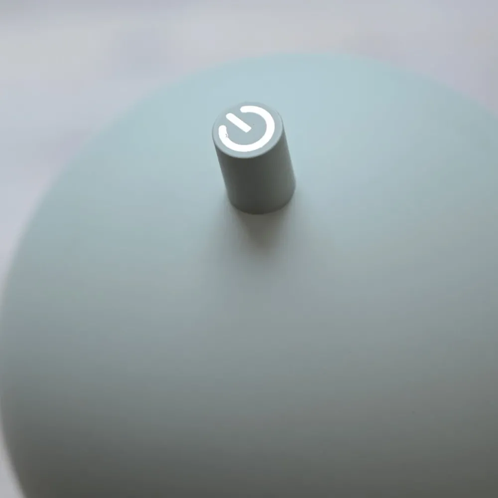 Schöner Wohnen Terrassebelysning > LED-akku-gulvlampe Bellies, forårsvækkelse