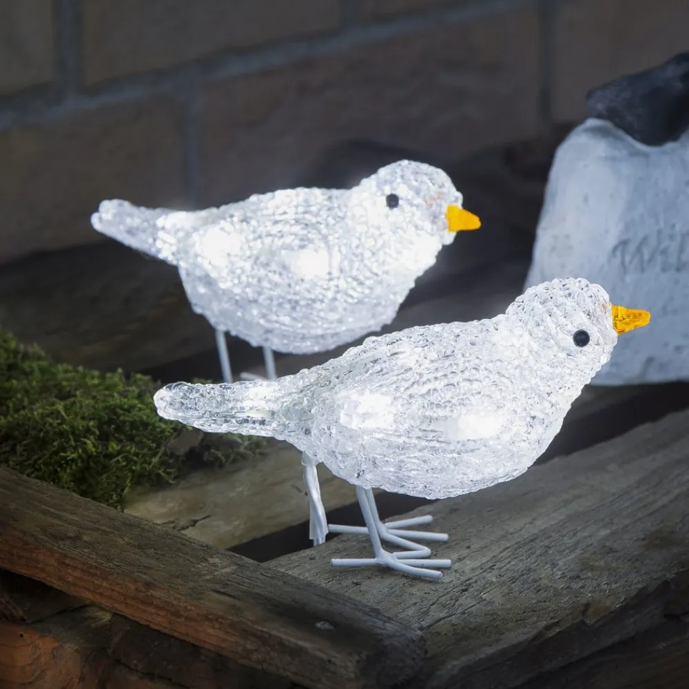 Konstsmide Christmas Julepynt|Julefigurer Udendørs > Sød udendørs dekoration LED-fuglekvintet