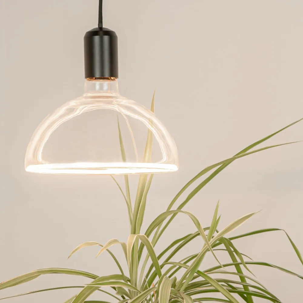 Dæmpbar Led-Pære|Filament Pære ^ SEGULA LED-pære Bowl E27 6,2 W ambient dæmpbar