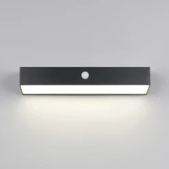 Reality Leuchten Væglampe Med Sensor > Silves solcellelampe til vægmontering, sort, sensor, IP44