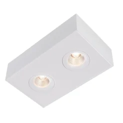 The Light Group Indbygningsspots > SLC DL04 Surface X2 påbygningslampe 2.700K hvid