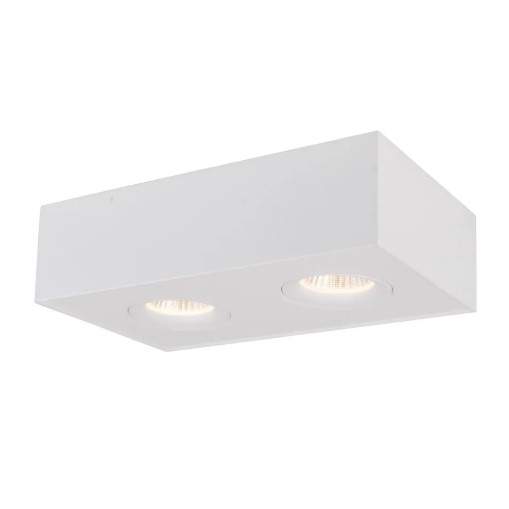 The Light Group Indbygningsspots > SLC DL04 Surface X2 påbygningslampe 3.000 K hvid