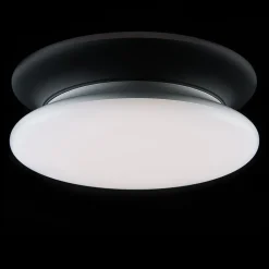 Loftlamper ^ The Light Group SLC LED-loftlampe dæmpbar IP54 Ø 30 cm 4.000 K
