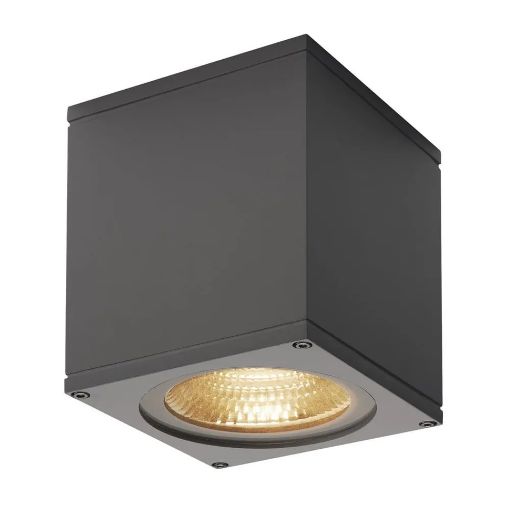 SLV Udendørs Loftlamper > Big Theo LED udendørs loftslampe, antracit