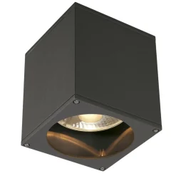 SLV Udendørs Loftlamper > Big Theo udendørs loftslampe, antracit