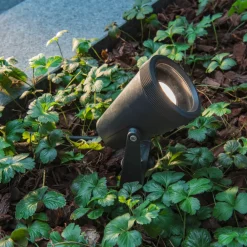 Udendørs Spot ^ SLV Samrina lampe med jordspyd, sort, plast, højde 13 cm