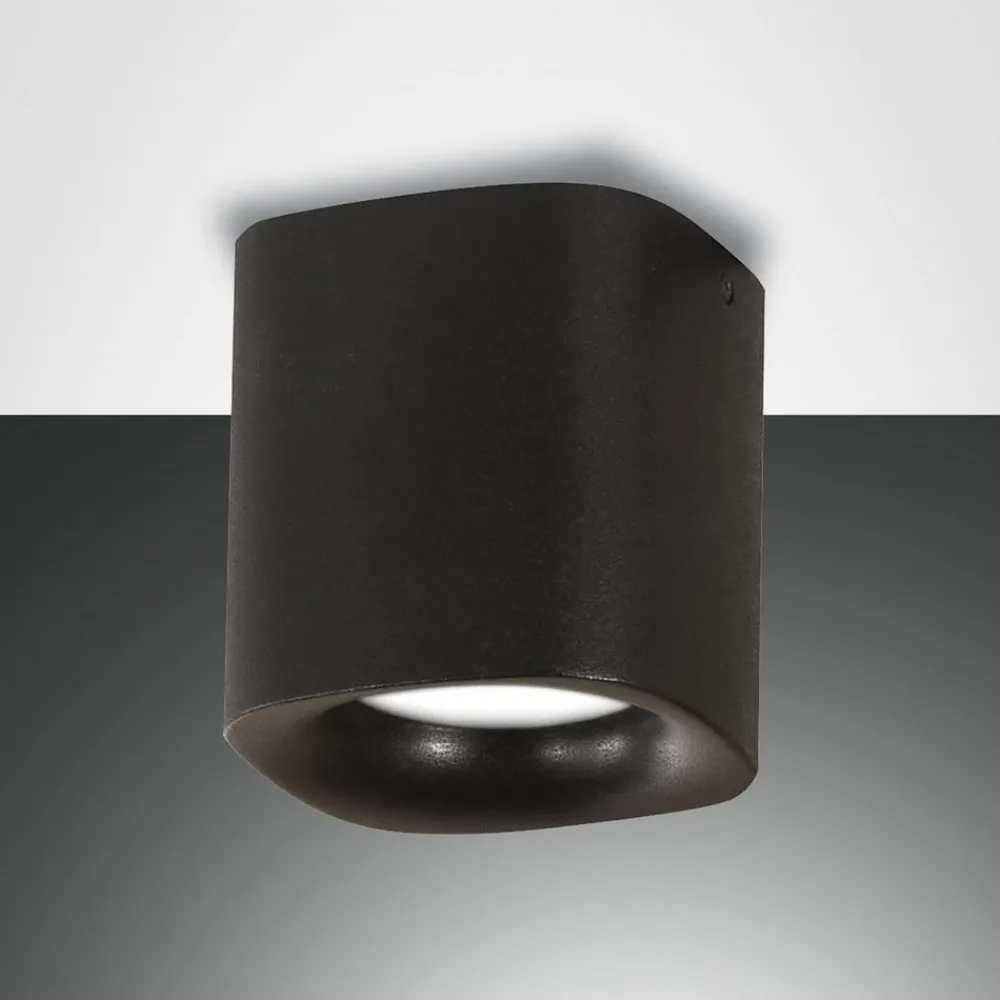 Fabas Luce Loftlamper > Smooth loftlampe, 1 lyskilde, sort, IP44