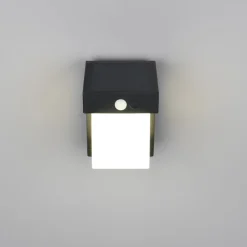 Væglampe Med Sensor ^ Reality Leuchten Solar-væglampe Colombo, sort mat, højde 14 cm, sensor