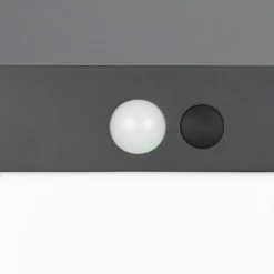 Væglampe Med Sensor ^ Reality Leuchten Solar-væglampe Colombo, sort mat, højde 14 cm, sensor