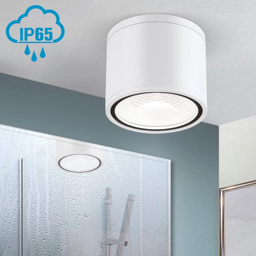 ORION Udendørs Loftlamper|Loftlamper > Sputnik LED-loftspot, IP65, Ø 14,5 cm, hvid