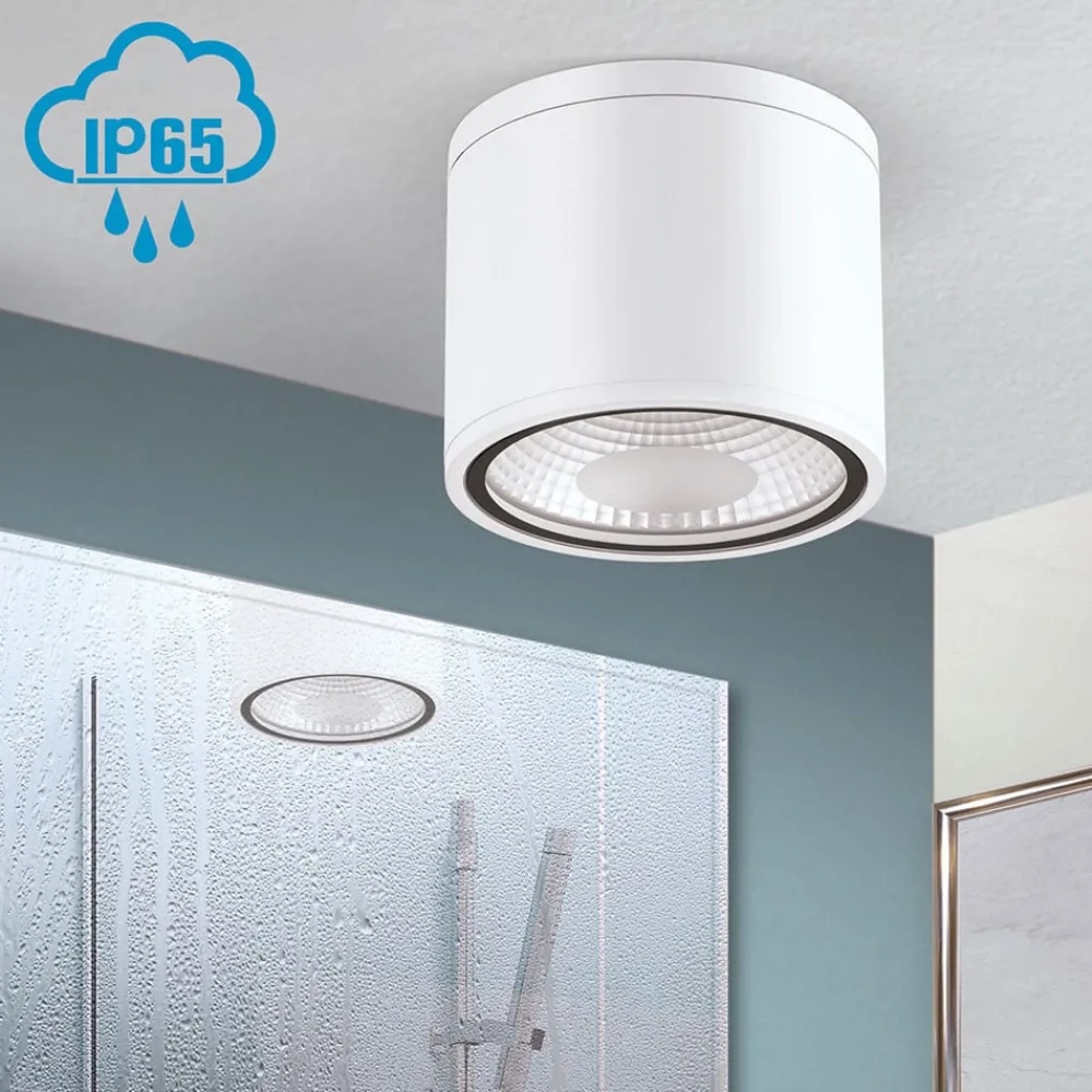 ORION Udendørs Loftlamper|Loftlamper > Sputnik LED-loftspot, IP65, Ø 14,5 cm, hvid