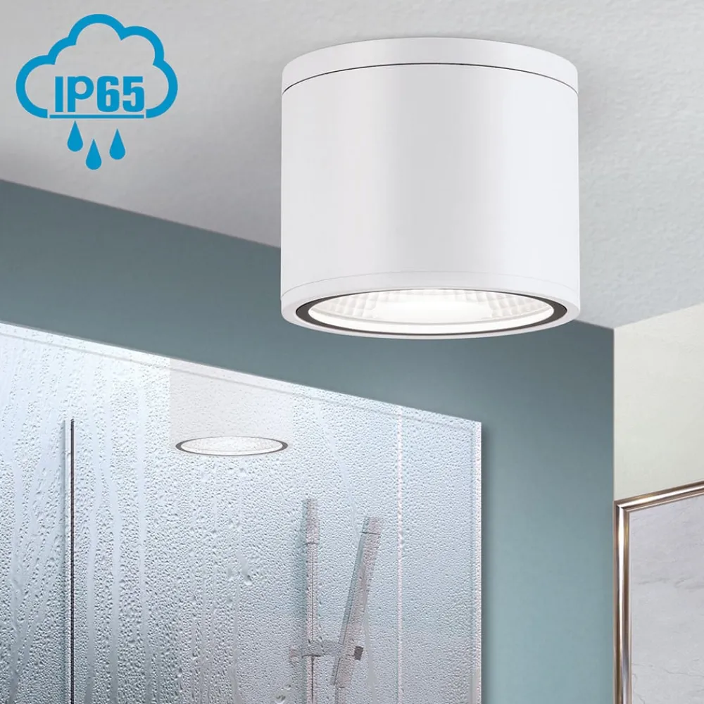 ORION Udendørs Loftlamper|Loftlamper > Sputnik LED-loftspot, IP65, Ø 14,5 cm, hvid