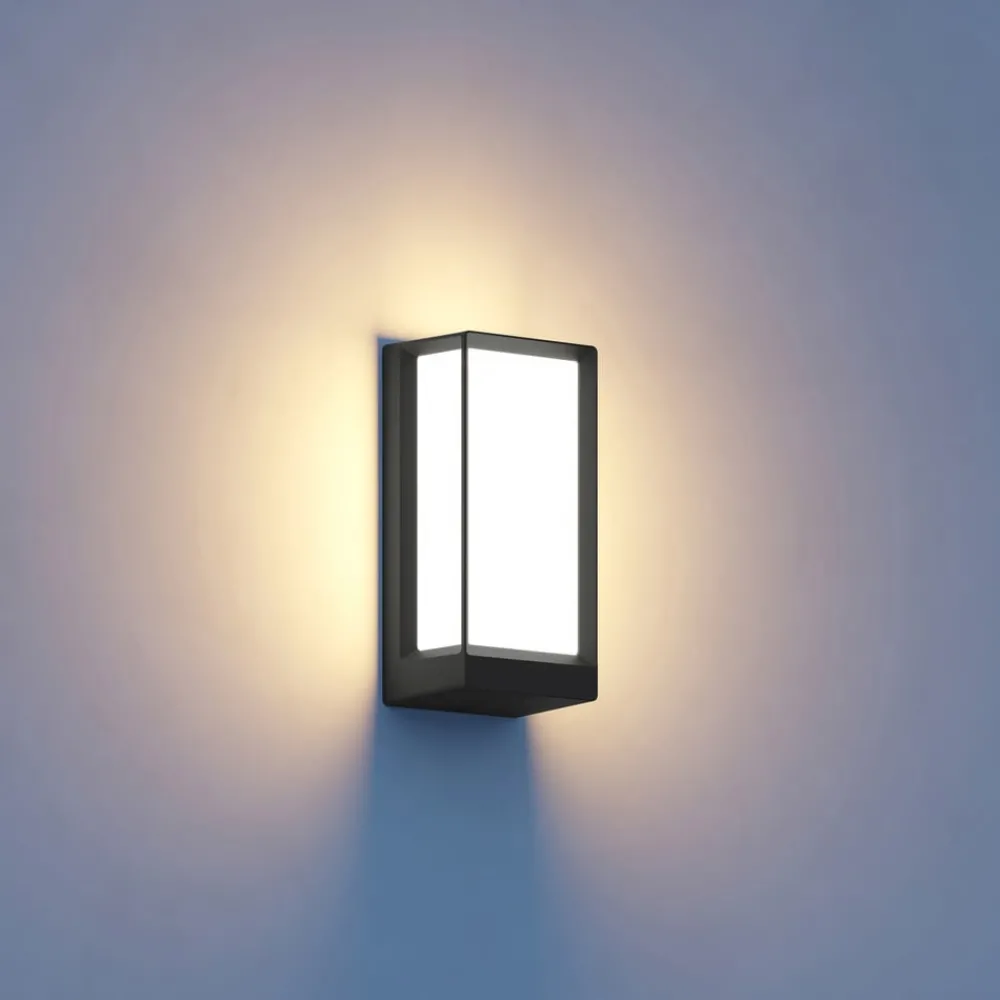 STEINEL Væglamper > L 42 C udendørs LED-væglampe antracit