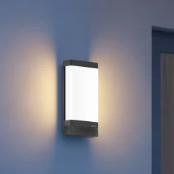 STEINEL Væglamper > L 271 DIGI C udendørs LED-væglampe