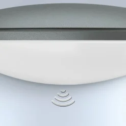 STEINEL Væglampe Med Sensor > L 825 SC udendørs væglampe med iHF-Sensor