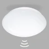 STEINEL Loftlamper > RS PRO P1 LED-loftlampe, 3.000 K