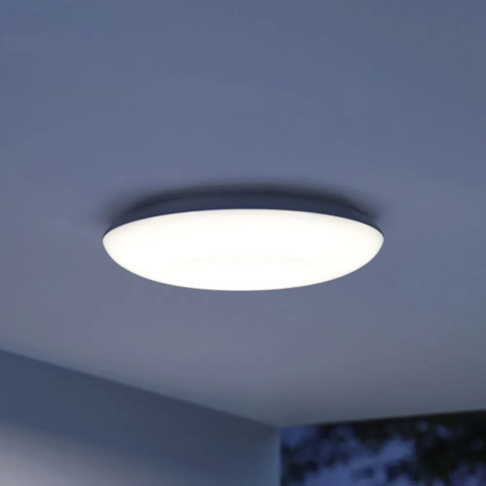 Udendørs Loftlamper ^ STEINEL Vario Quattro Pro loftlampe, hvid 3.000 K