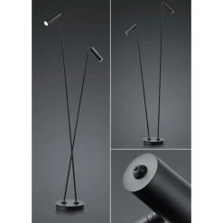Arbejdsrum/Kontor|Gulvlamper ^ HELL Tom LED-gulvlampe, 2 lyskilder, sort