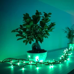 Dekorationsbelysning|Julepynt ^ twinkly RGB lyskæder, sort, 250 lys 20m