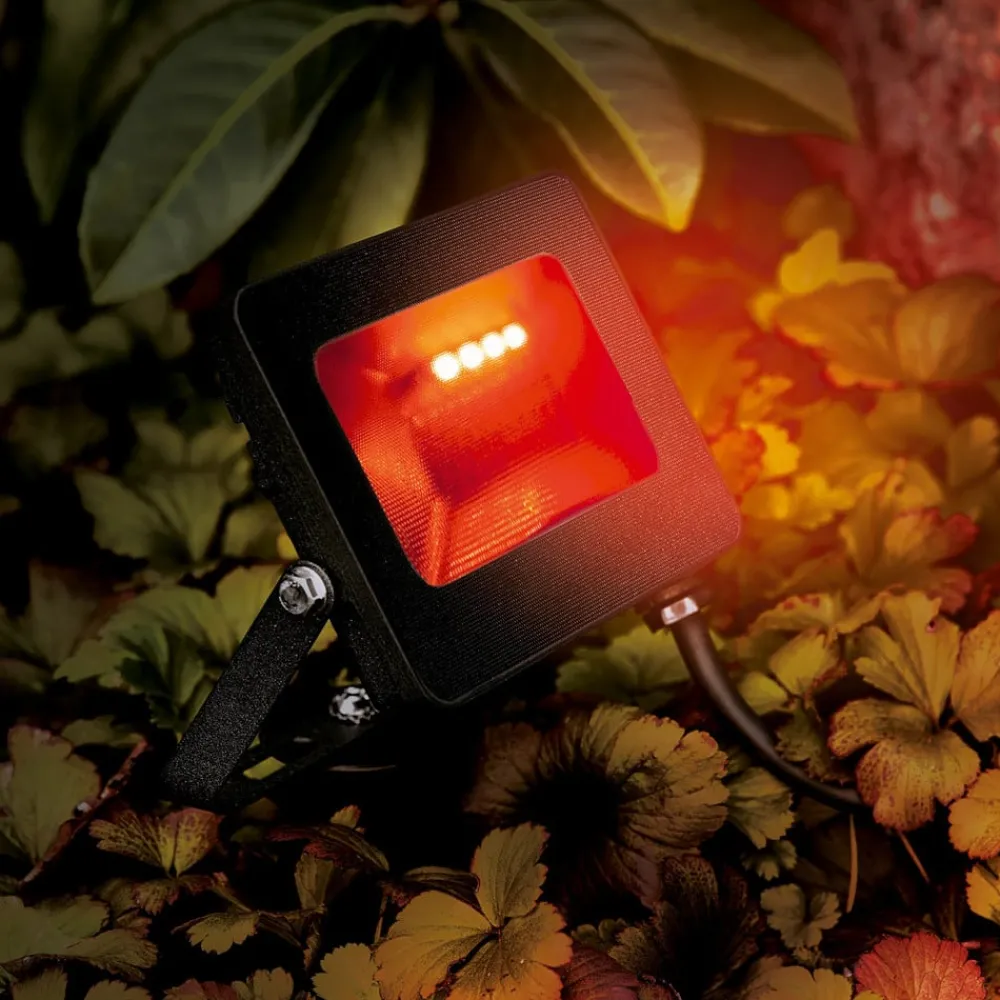 Heitronic Udendørs Spot > Udendørs LED-spot Kingston med jordspyd, RGBW