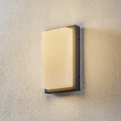 LCD Væglampe Med Sensor > Udendørs LED-væglampe Babett, stål, glas, sensor