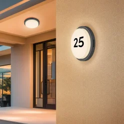 Trio Lighting Væglampe Med Sensor > Udendørs LED-væglampe Bermejo, rund, sensor, CCT, antracit