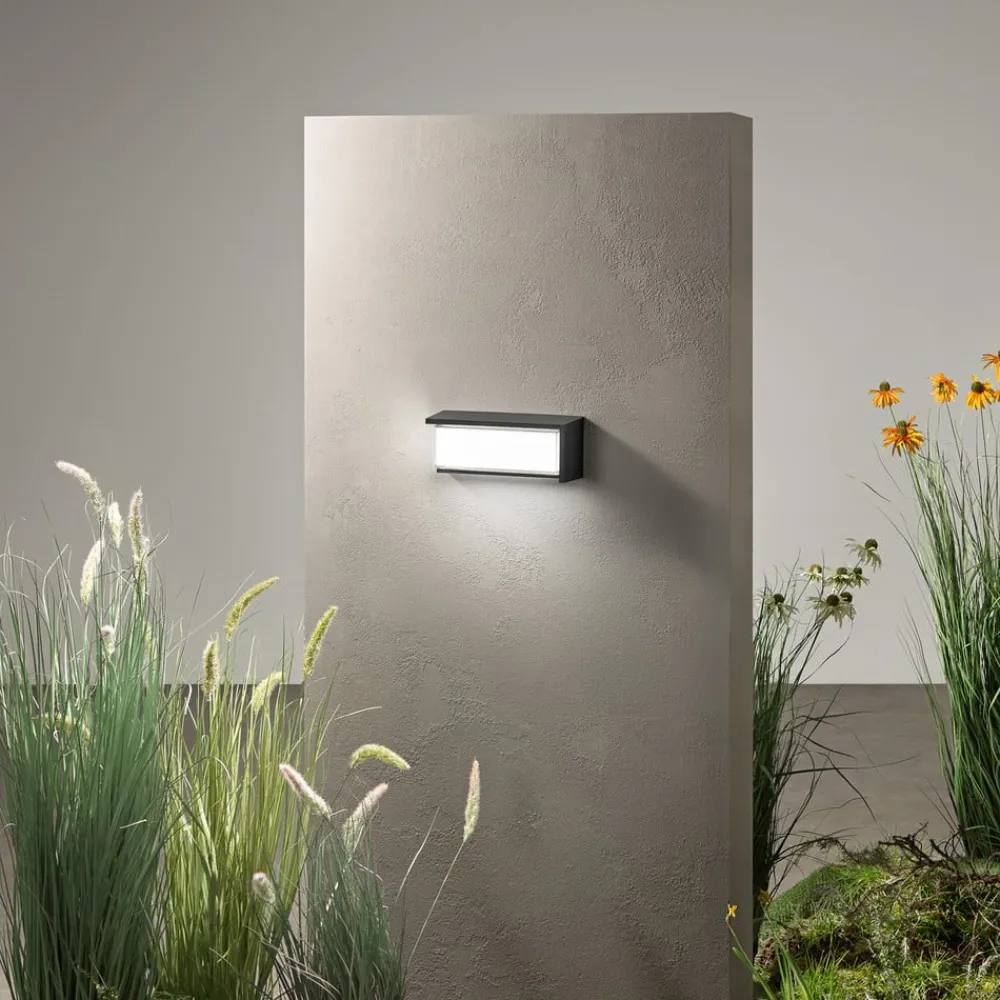 INTEC Væglamper > udendørs LED-væglampe BLOCK, sort, 32 cm plast, CCT