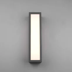 Trio Lighting Væglamper > Udendørs LED-væglampe Fuerte, antracit, aluminium, IP54
