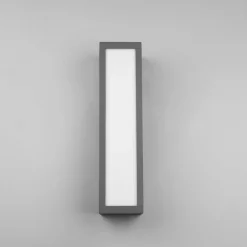Trio Lighting Væglamper > Udendørs LED-væglampe Fuerte, antracit, aluminium, IP54