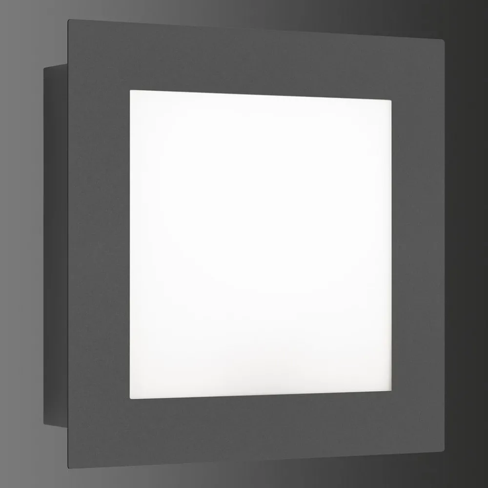 LCD Væglampe Med Sensor > Udendørs LED-væglampe 3007LEDSEN bevægelsessensor