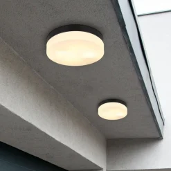 Globo Terrassebelysning|Udendørs Loftlamper > Udendørs loftslampe Vranos, mat sort, Ø 24 cm, aluminium