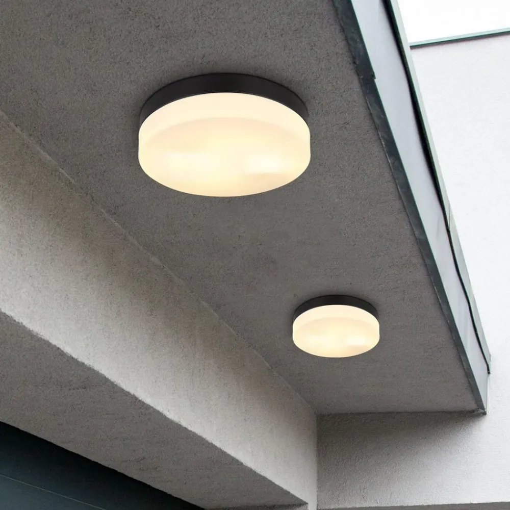 Globo Terrassebelysning|Udendørs Loftlamper > Udendørs loftslampe Vranos, mat sort, Ø 24 cm, aluminium
